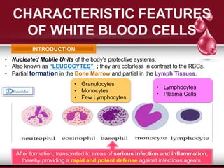 CHARACTERISTIC FEATURES
OF WHITE BLOOD CELLS
INTRODUCTION
• Nucleated Mobile Units of the body’s protective systems.
• Also known as “LEUCOCYTES” ; they are colorless in contrast to the RBCs.
• Partial formation in the Bone Marrow and partial in the Lymph Tissues.
• Granulocytes
• Monocytes
• Few Lymphocytes
• Lymphocytes
• Plasma Cells
After formation, transported to areas of serious infection and inflammation,
thereby providing a rapid and potent defense against infectious agents.
 