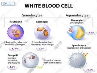 62.0% 2.3%
0.4%
5.3%
30.0%
 