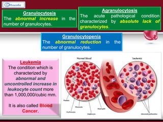 Granulocytosis
The abnormal increase in the
number of granulocytes.
Agranulocytosis
The acute pathological condition
characterized by absolute lack of
granulocytes.
Granulocytopenia
The abnormal reduction in the
number of granulocytes.
Leukemia
The condition which is
characterized by
abnormal and
uncontrolled increase in
leukocyte count more
than 1,000,000/cubic mm.
It is also called Blood
Cancer.
 