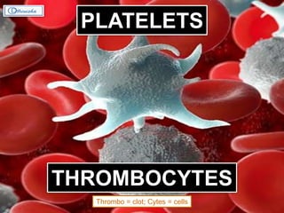 PLATELETS
THROMBOCYTES
Thrombo = clot; Cytes = cells
 