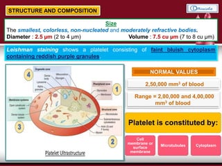 STRUCTURE AND COMPOSITION
Size
The smallest, colorless, non-nucleated and moderately refractive bodies.
Diameter : 2.5 µm (2 to 4 µm) Volume : 7.5 cu µm (7 to 8 cu µm)
Leishman staining shows a platelet consisting of faint bluish cytoplasm
containing reddish purple granules.
Platelet is constituted by:
Cell
membrane or
surface
membrane
Microtubules Cytoplasm
NORMAL VALUES
2,50,000 mm3 of blood
Range = 2,00,000 and 4,00,000
mm3 of blood
 