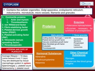 CYTOPLASM
 Contains the cellular organelles, Golgi apparatus, endoplasmic reticulum,
mitochondria, microtubule, micro vessels, filaments and granules.
Proteins
Enzymes
Adenosine triphosphatase
Enzymes necessary for
synthesis of prostaglandins
Hormonal Substances
Adrenaline
5-hydroxytryptamine
Histamine
Other Chemical
Substances
Glycogen
Substances like blood group
antigens
Platelet
Granules
1. Contractile proteins
i. Actin and myosin
ii. Thrombosthenin
2. von Willebrand factor
3. Fibrin-stabilizing factor
4. Platelet-derived growth
factor (PDGF)
5. Platelet-activating factor
(PAF)
6. Vitronectin (serum
spreading factor)
7. Thrombospondin
LIFESPAN AND FATE OF
PLATELETS
Average lifespan = 10 days
(varies between 8 and 11 days)
They are destroyed by tissue
macrophage system in spleen.
Splenomegaly platelet count
Splenectomy platelet count
 