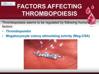 FACTORS AFFECTING
THROMBOPOIESIS
Thrombopoiesis seems to be regulated by following humoral
factors:
• Thrombopoietin
• Megakaryocyte colony stimulating activity (Meg-CSA)
 