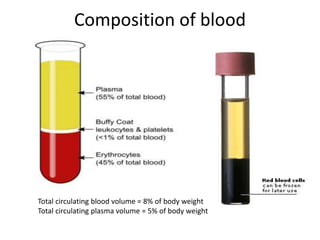 Blood | PPTX
