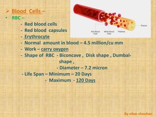 Blood Anatomy and Physiology by Vikas Chouhan | PPT