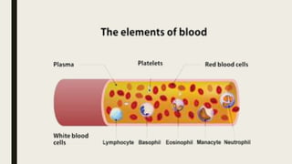 DISORDERS OF BLOOD COMPONENTS visual data 8