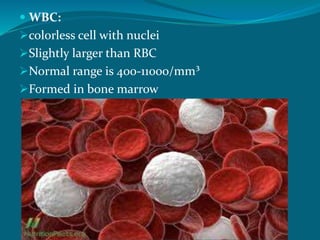  WBC:
colorless cell with nuclei
Slightly larger than RBC
Normal range is 400-11000/mm³
Formed in bone marrow
 