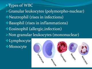  Types of WBC
Granular leukocytes (polymorpho-nuclear)
Neutrophil (rises in infections)
Basophil (rises in inflammations)
Eosinophil (allergic,infection)
Non granular leukocytes (mononuclear)
Lymphocyte
Monocyte
 