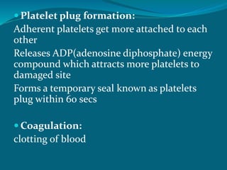  Platelet plug formation:
Adherent platelets get more attached to each
other
Releases ADP(adenosine diphosphate) energy
compound which attracts more platelets to
damaged site
Forms a temporary seal known as platelets
plug within 60 secs
 Coagulation:
clotting of blood
 