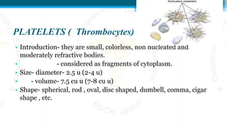 PLATELETS ( Thrombocytes)
• Introduction- they are small, colorless, non nucleated and
moderately refractive bodies.
• - considered as fragments of cytoplasm.
• Size- diameter- 2.5 u (2-4 u)
• - volume- 7.5 cu u (7-8 cu u)
• Shape- spherical, rod , oval, disc shaped, dumbell, comma, cigar
shape , etc.
 