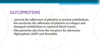 GLYCOPROTEINS
• prevent the adherence of platelets to normal endothelium,
but accelerate the adherence of platelets to collagen and
damaged endothelium in ruptured blood vessels.
• Glycoproteins also form the receptors for adenosine
diphosphate (ADP) and thrombin.
 