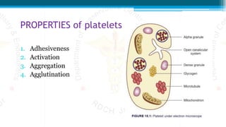 PROPERTIES of platelets
1. Adhesiveness
2. Activation
3. Aggregation
4. Agglutination
 