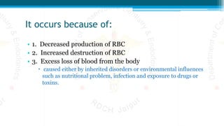 It occurs because of:
• 1. Decreased production of RBC
• 2. Increased destruction of RBC
• 3. Excess loss of blood from the body
 caused either by inherited disorders or environmental influences
such as nutritional problem, infection and exposure to drugs or
toxins.
 