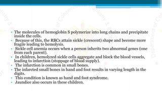 • The molecules of hemoglobin S polymerize into long chains and precipitate
inside the cells.
• Because of this, the RBCs attain sickle (crescent) shape and become more
fragile leading to hemolysis.
• Sickle cell anemia occurs when a person inherits two abnormal genes (one
from each parent).
• In children, hemolyzed sickle cells aggregate and block the blood vessels,
leading to infarction (stoppage of blood supply).
• The infarction is common in small bones.
• The infarcted small bones in hand and foot results in varying length in the
digits.
• This condition is known as hand and foot syndrome.
• Jaundice also occurs in these children.
 