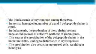 • The βthalassemia is very common among these two.
• In normal hemoglobin, number of α and β polypeptide chains is
equal.
• In thalassemia, the production of these chains become
imbalanced because of defective synthesis of globin genes.
• This causes the precipitation of the polypeptide chains in the
immature RBCs, leading to disturbance in erythropoiesis.
• The precipitation also occurs in mature red cells, resulting in
hemolysis
 