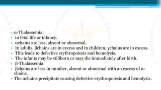 • α-Thalassemia:
• in fetal life or infancy.
• αchains are less, absent or abnormal.
• In adults, βchains are in excess and in children, γchains are in excess.
• This leads to defective erythropoiesis and hemolysis.
• The infants may be stillborn or may die immediately after birth.
• β-Thalassemia:
• βchains are less in number, absent or abnormal with an excess of α-
chains.
• The αchains precipitate causing defective erythropoiesis and hemolysis.
 