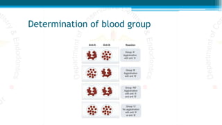 Determination of blood group
 