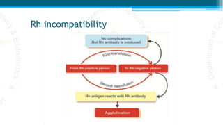 Rh incompatibility
 