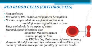 RED BLOOD CELLS (ERYTHROCYTES)
• Non nucleated
• Red color of RBC is due to red pigment hemoglobin
• Normal range- adult males- 5 millions /cu. mm
- adult females- 4.5 millions / cu. mm
Plays a vital role in transport of gases.
Size and shape: biconcave disc
diameter- 7.8 micrometers
volume- 90-95 cu. Mm
the RBC is a bag that can be deformed into any
shape but this deformation does not occur as the cell has great
excess of cell membrane for the quantity of material inside.
 