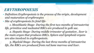 ERYTHROPOIESIS
• Definition:Erythropoiesis is the process of the origin, development
and maturation of erythrocytes
• Site of erythropoiesis:In fetal life-
1. Mesoblastic Stage- During the first two months of intrauterine
life, primitive and nucleated RBCs are produced in yolk sac.
2. Hepatic Stage- During middle trimester of gestation , liver is
the main organ that produces RBCs. Spleen and lymphoid organs
are also involved in erythropoiesis.
3. Myeloid Stage- During the last three months of intrauterine
life, the RBCs are produced from red bone marrow and liver.
 