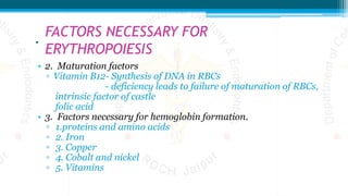 .
• 2. Maturation factors
▫ Vitamin B12- Synthesis of DNA in RBCs
- deficiency leads to failure of maturation of RBCs,
intrinsic factor of castle
folic acid
• 3. Factors necessary for hemoglobin formation.
▫ 1.proteins and amino acids
▫ 2. Iron
▫ 3. Copper
▫ 4. Cobalt and nickel
▫ 5. Vitamins
FACTORS NECESSARY FOR
ERYTHROPOIESIS
 