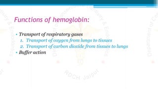 Functions of hemoglobin:
• Transport of respiratory gases
1. Transport of oxygen from lungs to tissues
2. Transport of carbon dioxide from tissues to lungs
• Buffer action
 