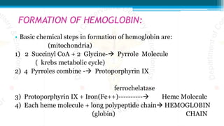 FORMATION OF HEMOGLOBIN:
• Basic chemical steps in formation of hemoglobin are:
(mitochondria)
1) 2 Succinyl CoA + 2 Glycine- Pyrrole Molecule
( krebs metabolic cycle)
2) 4 Pyrroles combine - Protoporphyrin IX
ferrochelatase
3) Protoporphyrin IX + Iron(Fe++)---------- Heme Molecule
4) Each heme molecule + long polypeptide chain HEMOGLOBIN
(globin) CHAIN
 