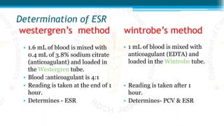 Determination of ESR
westergren’s method wintrobe’s method
• 1.6 mL of blood is mixed with
0.4 mL of 3.8% sodium citrate
(anticoagulant) and loaded in
the Westergren tube.
• Blood :anticoagulant is 4:1
• Reading is taken at the end of 1
hour.
• Determines - ESR
• 1 mL of blood is mixed with
anticoagulant (EDTA) and
loaded in the Wintrobe tube.
• Reading is taken after 1
hour.
• Determines- PCV & ESR
 