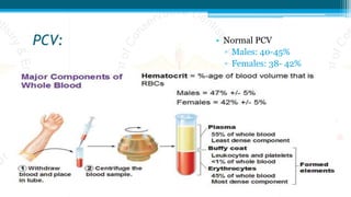 PCV: • Normal PCV
▫ Males: 40-45%
▫ Females: 38- 42%
 