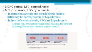 • MCHC normal, RBC- normochromic
• MCHC decreases, RBC- hypochromic.
▫ In pernicious anemia and megaloblastic anemia,
RBCs may be normochromic or hypochromic.
▫ In iron deficiency anemia, RBCs are hypochromic.
A single RBC cannot be hyperchromic because, the amount
of hemoglobin cannot increase beyond normal.
 