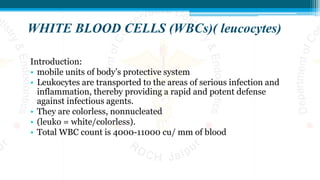 WHITE BLOOD CELLS (WBCs)( leucocytes)
Introduction:
• mobile units of body’s protective system
• Leukocytes are transported to the areas of serious infection and
inflammation, thereby providing a rapid and potent defense
against infectious agents.
• They are colorless, nonnucleated
• (leuko = white/colorless).
• Total WBC count is 4000-11000 cu/ mm of blood
 