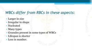 WBCs differ from RBCs in these aspects:
• Larger in size
• Irregular in shape
• Nucleated
• Many types
• Granules present in some types of WBCs
• Lifespan is shorter
• Less in number.
 
