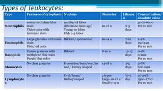 Types of leukocytes:
N
Neutrophils
fine granules stain with
eosin/methylene blue
stain
Violet color with
leishman stain
multilobed(increased
number of lobes
determine more age)
Young-no lobes
Old- 2-3 lobes
1
10-12 u
2-5
2-5
days
50-70%
3000-6000
Per cu mm
Eosinophils
Large granules with eosin
stain
Pink/red color
Bilobed/ spectacular 10-14 u 7-12
days
2-4%
150-450
Per cu mm
Basophils
Coarse granules with
methylene blue stain
Purple blue color
Bilobed 8-10 u 12-15
days
0-1%
0-100
Per cu mm
Monocytes
No clear granules Horseshoe/bean/oval/ro
und/ kidney shaped
14-18 u 2-5
days
2-6%
200-600
Per cu mm
Lymphocyte
s
No clear granules Oval/ bean/
Kidney shaped
2 types
Large-10-12 u
Small-7-12 u
½-1
day
20-30%
1500-2700
Per cu mm
Type Features of cytoplasm Nucleus Diameter Lifespa
n
Concentration/
absolute value
 