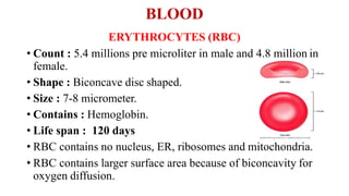 BLOOD
ERYTHROCYTES (RBC)
• Count : 5.4 millions pre microliter in male and 4.8 million in
female.
• Shape : Biconcave disc shaped.
• Size : 7-8 micrometer.
• Contains : Hemoglobin.
• Life span : 120 days
• RBC contains no nucleus, ER, ribosomes and mitochondria.
• RBC contains larger surface area because of biconcavity for
oxygen diffusion.
 