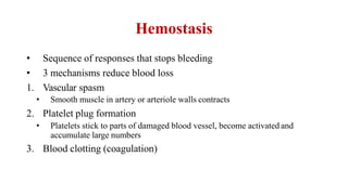 Hemostasis
• Sequence of responses that stops bleeding
• 3 mechanisms reduce blood loss
1. Vascular spasm
• Smooth muscle in artery or arteriole walls contracts
2. Platelet plug formation
• Platelets stick to parts of damaged blood vessel, become activated and
accumulate large numbers
3. Blood clotting (coagulation)
 