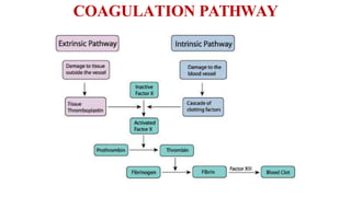 COAGULATION PATHWAY
 