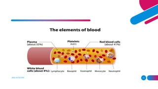 Blood | PPTX