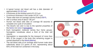 Blood | PPTX