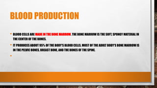 BLOOD PRODUCTION
• BLOOD CELLS ARE MADE IN THE BONE MARROW. THE BONE MARROW IS THE SOFT, SPONGY MATERIAL IN
THE CENTER OF THE BONES.
• IT PRODUCES ABOUT 95% OF THE BODY'S BLOOD CELLS. MOST OF THE ADULT BODY'S BONE MARROW IS
IN THE PELVIC BONES, BREAST BONE, AND THE BONES OF THE SPINE.
•
 