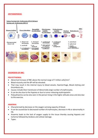 ERYTHROPOESIS:
DISORDERS OF RBC:
POLYCYTHEMIA:
• Abnormal Increase of RBC above the normal range of 7 million cells/mm3.
• Blood viscosity and the BP will be elevated.
• That may result in the internal injury to blood vessels, Haemorrhage, Blood clotting and
thrombosis etc.
• Causes include Over transfusion of Abnormally large number of erythrocytes.
• It can be also due to the Hypoxia or due to tumor releasing erythropoietin.
• Polycythaemia can be also seen in the person living in the higher altitude areas and also due
to the exercise.
ANAEMIA:
• Characterised by decrease on the oxygen carrying capacity of blood.
• It can be caused due to decreased number of erythrocytes, decrease in Hb or abnormality in
Hb.
• Anaemia leads to the lack of oxygen supply to the tissue thereby causing Hypoxia and
Ischemia followed by Acidosis and cellular damage.
• Types:
Colony Forming Unit- Erythrocytes (CFU-E) & Burst
forming unit -Erythrocytes (BFU-E)
 