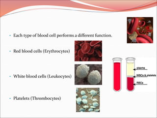 • Each type of blood cell performs a different function.
• Red blood cells (Erythrocytes)
• White blood cells (Leukocytes)
• Platelets (Thrombocytes)
 