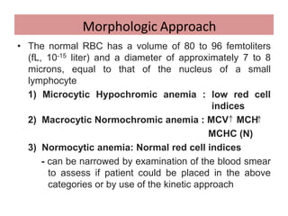 • The normal RBC has a volume of 80 to 96 femtoliters
(fL, 10-15 liter) and a diameter of approximately 7 to 8
microns, equal to that of the nucleus of a small
lymphocyte
1) Microcytic Hypochromic anemia : low red cell
indices
2) Macrocytic Normochromic anemia : MCV MCH
MCHC (N)
3) Normocytic anemia: Normal red cell indices
- can be narrowed by examination of the blood smear
to assess if patient could be placed in the above
categories or by use of the kinetic approach
Morphologic Approach
 