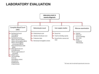 LABORATORY EVALUATION
 