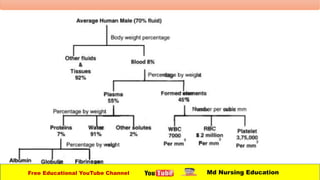 Free Educational YouTube Channel Md Nursing Education
 