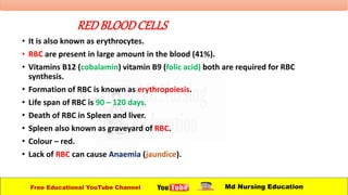 Free Educational YouTube Channel Md Nursing Education
REDBLOODCELLS
• It is also known as erythrocytes.
• RBC are present in large amount in the blood (41%).
• Vitamins B12 (cobalamin) vitamin B9 (folic acid) both are required for RBC
synthesis.
• Formation of RBC is known as erythropoiesis.
• Life span of RBC is 90 – 120 days.
• Death of RBC in Spleen and liver.
• Spleen also known as graveyard of RBC.
• Colour – red.
• Lack of RBC can cause Anaemia (jaundice).
 