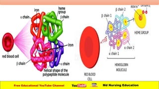 Free Educational YouTube Channel Md Nursing Education
 
