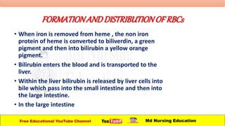 FORMATIONANDDISTRIBUTIONOFRBCs
• When iron is removed from heme , the non iron
protein of heme is converted to biliverdin, a green
pigment and then into bilirubin a yellow orange
pigment.
• Bilirubin enters the blood and is transported to the
liver.
• Within the liver bilirubin is released by liver cells into
bile which pass into the small intestine and then into
the large intestine.
• In the large intestine
Free Educational YouTube Channel Md Nursing Education
 