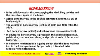 BONEMARROW
• It the cellulovascular tissue occupying the Medullary cavities and
the cancellous space of the bone.
• Active bone marrow in the adult is estimated at from 3.5-6% of
body weight.
• The volume of bone marrow is 70 ml at birth and 4000 ml in the
adult.
• Red bone marrow (active) and yellow bone marrow (inactive).
• In adults red bone marrow is present in the axial skeleton (skull,
pelvis, ribs, sternum, vertebrae, and proximal ends of femur and
humerus.
• In newborn hematopoiesis is going on out side the bone marrow,
i.e., in the liver, spleen and lymph nodes, it is called extra
Medullary Hematopoiesis.
Free Educational YouTube Channel Md Nursing Education
 