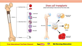 Free Educational YouTube Channel Md Nursing Education
 
