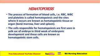 HEMATOPOIESIS
• The process of formation of blood cells, i.e. RBC, WBC
and platelets is called hematopoiesis and the sites
where it occurs are known as hematopoietic tissue or
organ (bone marrow, liver and spleen).
• The cells responsible for hematopoiesis are first seen in
yolk sac of embryo in third week of embryonic
development and these cells are known as
hematopoietic stem cells.
Free Educational YouTube Channel Md Nursing Education
 